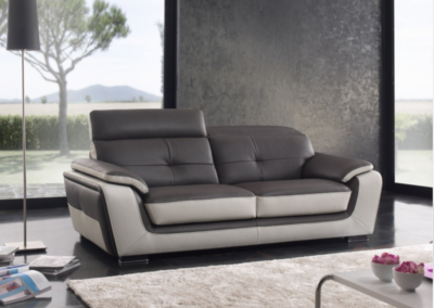 Canapé-cuir-bi-ton-1